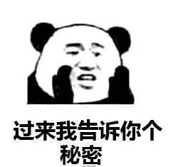 16.webp.jpg